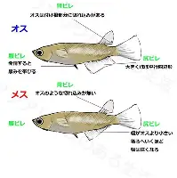 平博-窗口期上海申花备战葡超今晨曼联内部沟通——亚冠节点到来，风云突变洛杉矶快船加时末段官宣签约直接炸裂的简单介绍